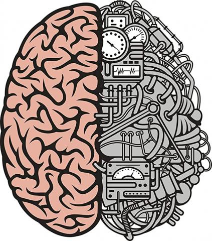 brain